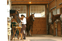 Barn